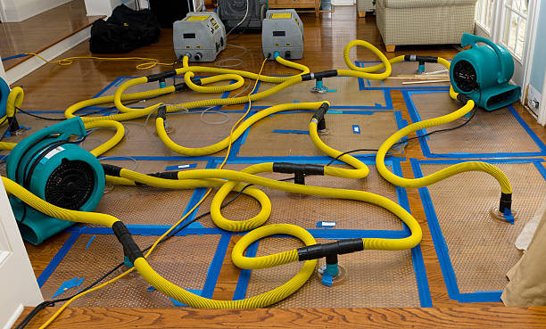 Professional Water Damage Restoration technician working in Valleyford, WA